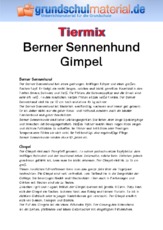 Berner Sennenhund - Gimpel.pdf